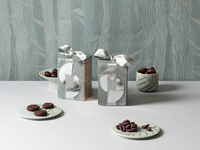 Armani Dolci  Autumn Collection