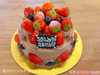 [Reservations can be made until May 18th] 🍓Strawberry Special Chocolate Cream🍓(No. 5, 15cm) For 4-6 people [Basic] [5,931 yen including tax]
