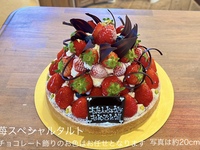 【12月10日受取分よりご予約可能】🍓苺スペシャルタルト【直径約20cm】8名様前後用【税別9,109円】
