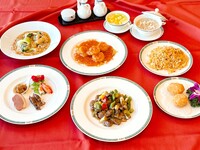 [Tori] Total 8 items