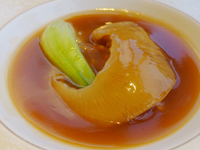 【8/31まで！】フカヒレ姿煮・黒毛和牛・北京ダック入りコース／飲み放題付 12,000円
