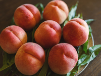 【7/16-8/23】Peach course 2026