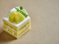 [Payment at store] Muskmelon Short