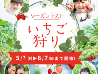 ★ラストシーズンいちご狩り【平日】