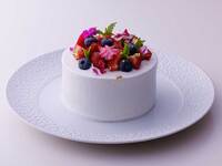 [Option] Birthday Plan