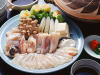 Masterful Blowfish Kaiseki (Private room)