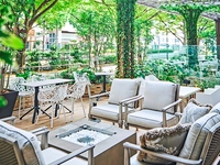 【表参道のケヤキ並木を眺めて】テラス席のみ予約（ランチ）　