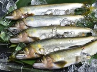 【7月26日(土) 12:00開催】グランメゾン★オーフ 6