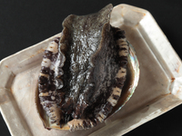 【主廚特製套餐】