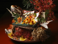 夜のお祝懐石 　亀