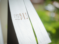 "SAKURA" ランチコース