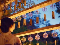 ほたるの夕べ【夏祭りプラン】