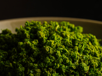 【-5月限定 -　山の薫り、花山椒コース】27,500円