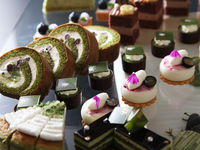 【期間限定開催】「BERRY MATCHO」 ブルーベリー・抹茶・チョコレートの饗宴！初夏のご褒美スィーツビュッフェ（小学生）