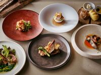 【Winter】ディナーコース薪グリルをふんだんに使ったお魚＆お肉料理のメインなど全6品