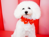 平日限定⭐︎リピーター様専用コース（1時間）