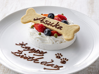 Dog Cake