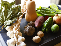 【VILLA COMMUNICO】 Lunch