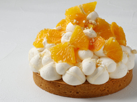 [Production (finishing) begins at 13:00] Tarte Fromage Navel Orange (14cm)