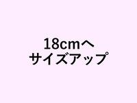 Size up to 18cm Tarte Fromage Orange (+4460 yen)