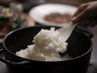 ランチコース【炊き立て白米食べ放題】