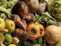 Vegan Lunch Course