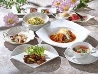 火曜お得day　岐阜おもてなしランチ　清華（2名様より）
