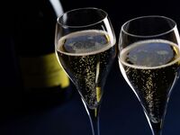 【窓際確約×シャンパン×ケーキ】オマール海老＆前菜と肉料理が選べるディナー