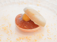 【厳選食材】“シェフの技が光る”食材主義の美しい 10皿コース