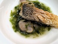 Menu Degustation＜ランチタイムフルコース＞