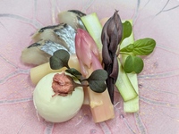 Menu Degustation＜ランチタイムフルコース＞