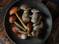 Alcohol pairing course (120ml)