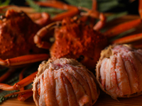 【せいこ蟹×和ガストロノミーコース】13,200円