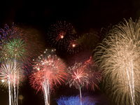 【The Bar】Fire works 【For 2person】