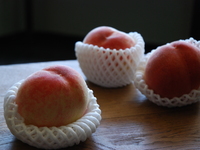 桃パフェ　vol.1