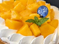 Miyazaki mango tart 18cm