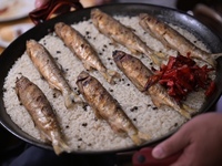 【嗜み展７】7/26(土）