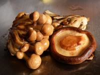 ★秋の味覚　きのこフェア　21％OFF！[バリュープラン(平日ディナー)] シェフコース+ワンドリンク 15,400円