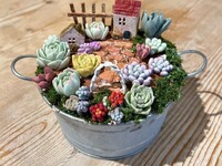 樹脂粘土多肉箱庭