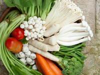 【Vegetarian】　Course with a choice of main dishes, 4 dishes in total