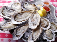 WEB予約限定◎生牡蠣盛り合わせ12ピース特別価格
