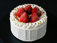 ８月〜)フレーズシャンティ6号(18cm)