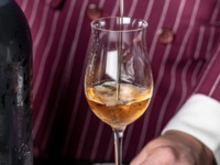 Full Experience Menu + Wine Pairing - 7 glasses