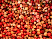 Full Experience Menu + Non Alcoholic Pairing - 6 glasses