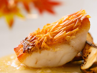 うかい厳選牛ディナーコース【厳選牛フィレ】