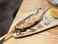 【年末２時間半飲み放題コース（旬のお料理+飲み放題)】