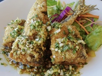 11/30まで！【日曜日限定】旬を味わう秋刀魚の香り揚げ入りコース6000円が30％OFF→【4,200円】