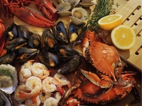 肉の芸術、健美なる浜焼き＆シュラスコの饗宴！🍖✨👑