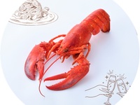 【土曜ランチ20食限定オマールフェア】Lobster  Course