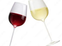 おまかせコース、飲み放題付き（6名様以上）